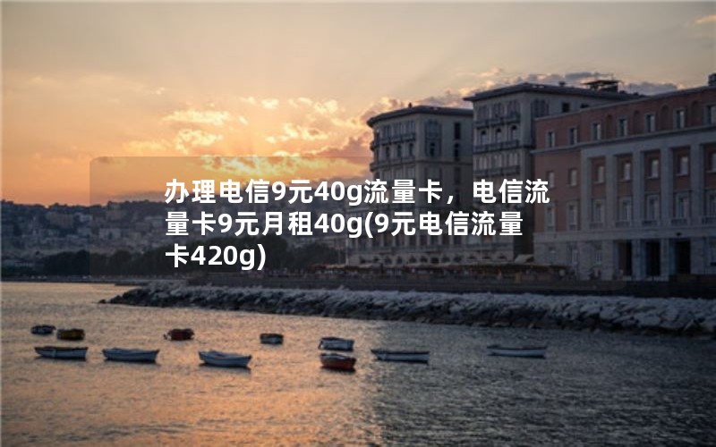 办理电信9元40g流量卡，电信流量卡9元月租40g(9元电信流量卡420g)