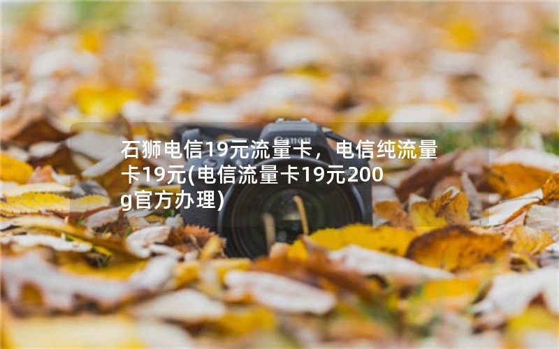 石狮电信19元流量卡，电信纯流量卡19元(电信流量卡19元200g官方办理)