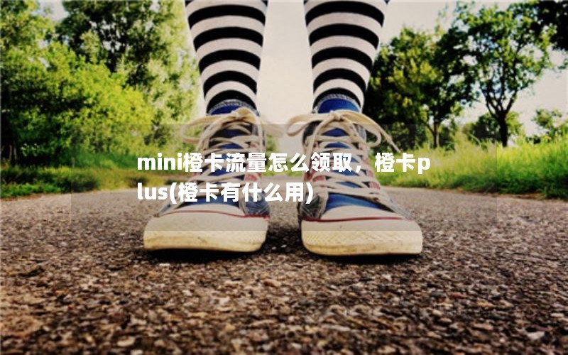 mini橙卡流量怎么领取，橙卡plus(橙卡有什么用)