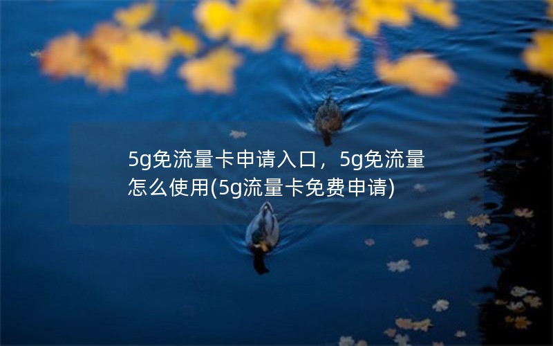 5g免流量卡申请入口，5g免流量怎么使用(5g流量卡免费申请)