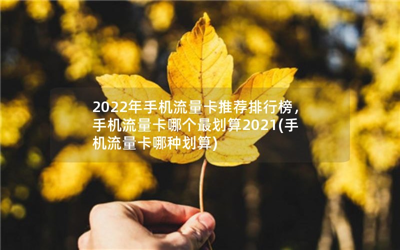 2022年手机流量卡推荐排行榜，手机流量卡哪个最划算2021(手机流量卡哪种划算)