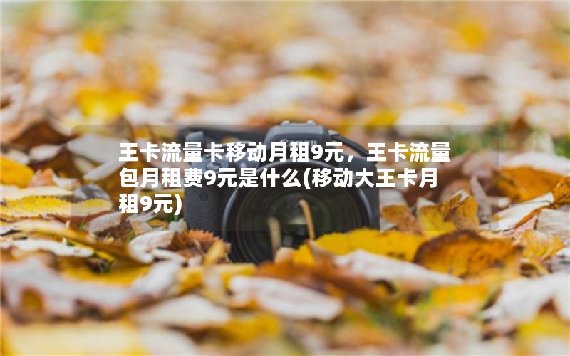 王卡流量卡移动月租9元，王卡流量包月租费9元是什么(移动大王卡月租9元)