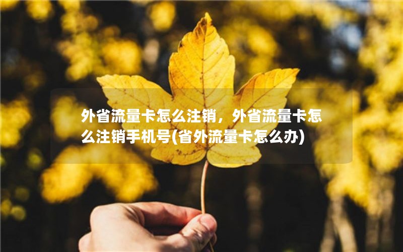 外省流量卡怎么注销，外省流量卡怎么注销手机号(省外流量卡怎么办)