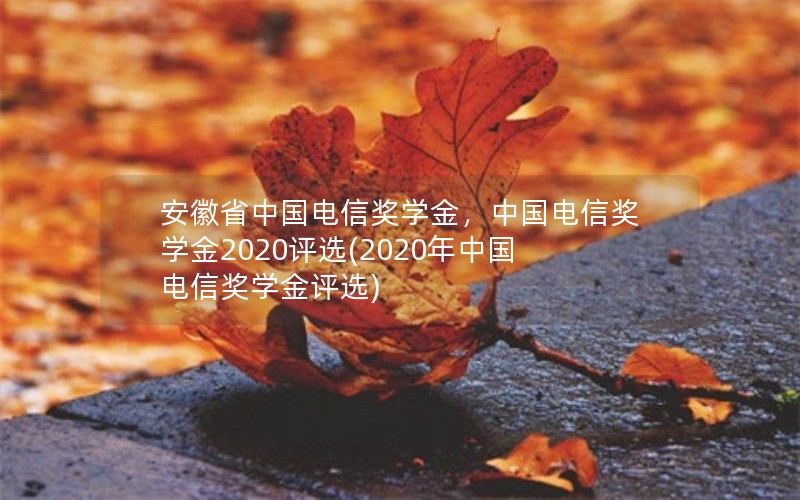 安徽省中国电信奖学金，中国电信奖学金2020评选(2020年中国电信奖学金评选)