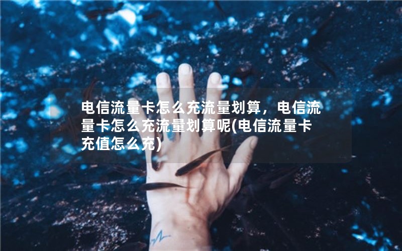 电信流量卡怎么充流量划算，电信流量卡怎么充流量划算呢(电信流量卡充值怎么充)