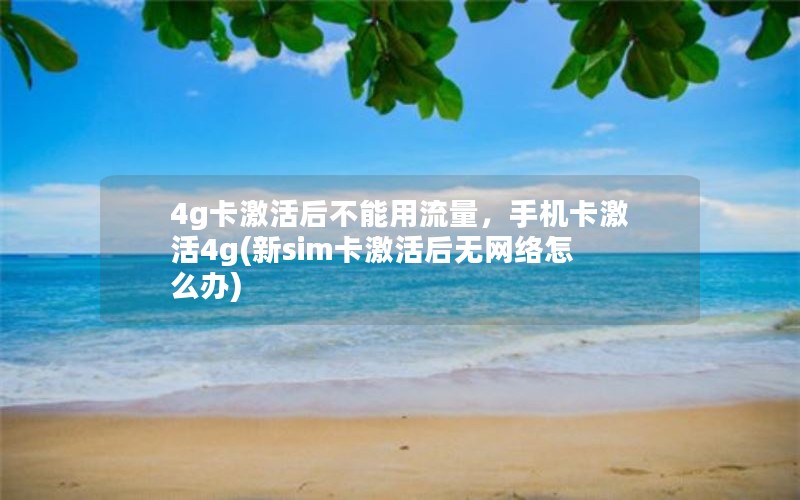 4g卡激活后不能用流量，手机卡激活4g(新sim卡激活后无网络怎么办)