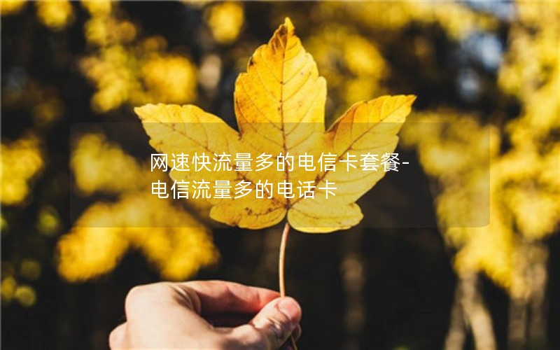 网速快流量多的电信卡套餐-电信流量多的电话卡