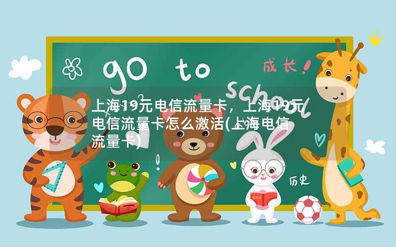 上海19元电信流量卡，上海19元电信流量卡怎么激活(上海电信 流量卡)