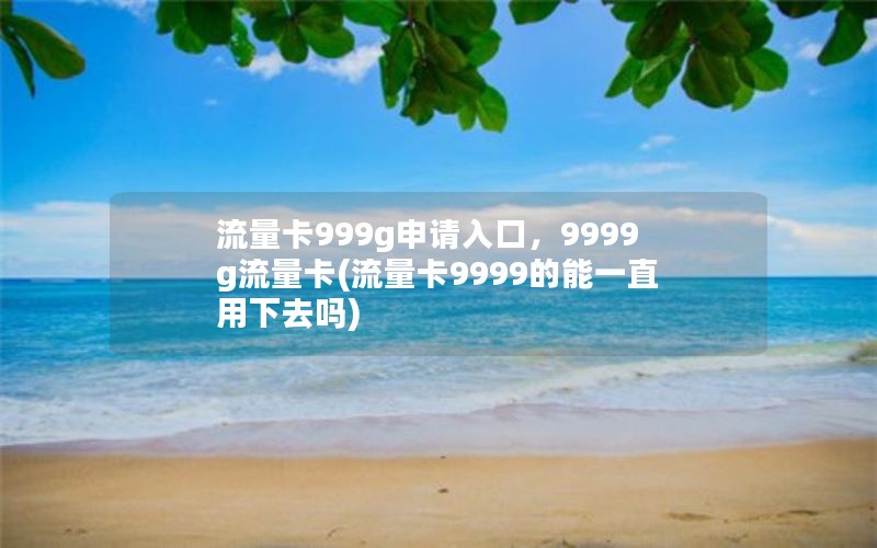 流量卡999g申请入口，9999g流量卡(流量卡9999的能一直用下去吗)