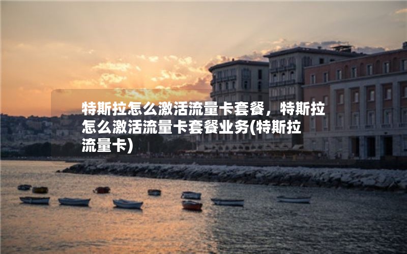 特斯拉怎么激活流量卡套餐，特斯拉怎么激活流量卡套餐业务(特斯拉 流量卡)