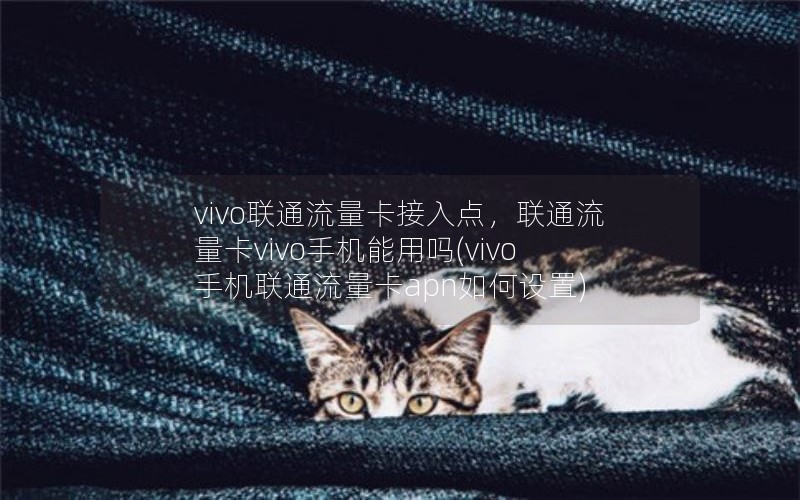 vivo联通流量卡接入点，联通流量卡vivo手机能用吗(vivo手机联通流量卡apn如何设置)