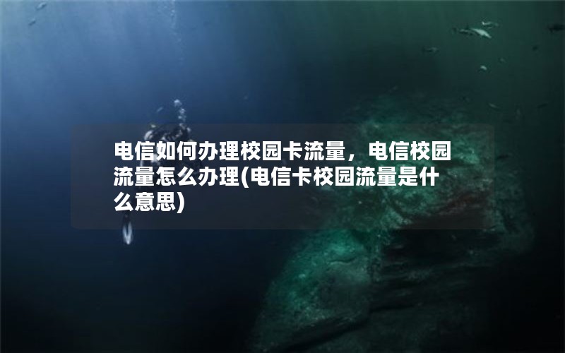 电信如何办理校园卡流量，电信校园流量怎么办理(电信卡校园流量是什么意思)