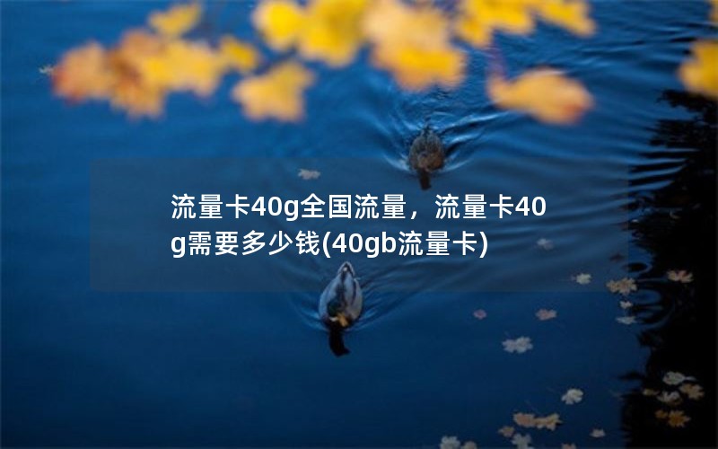 流量卡40g全国流量，流量卡40g需要多少钱(40gb流量卡)