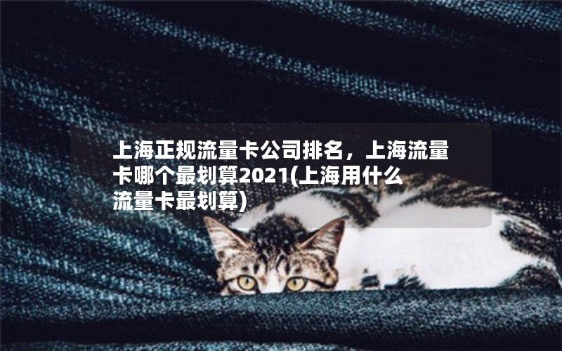 上海正规流量卡公司排名，上海流量卡哪个最划算2021(上海用什么流量卡最划算)