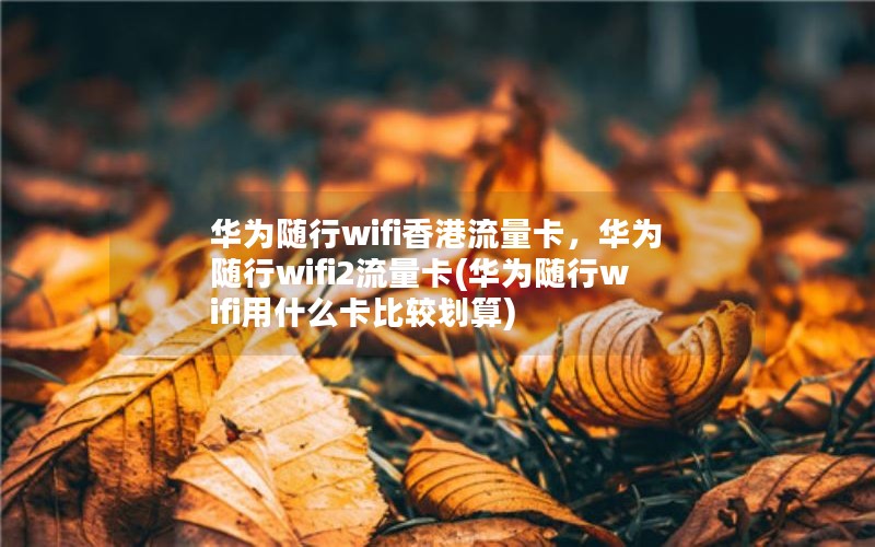 华为随行wifi香港流量卡，华为随行wifi2流量卡(华为随行wifi用什么卡比较划算)