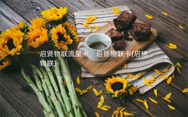 启贤物联流量卡，启扬物联卡(启杨物联)