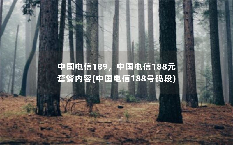 中国电信189，中国电信188元套餐内容(中国电信188号码段)