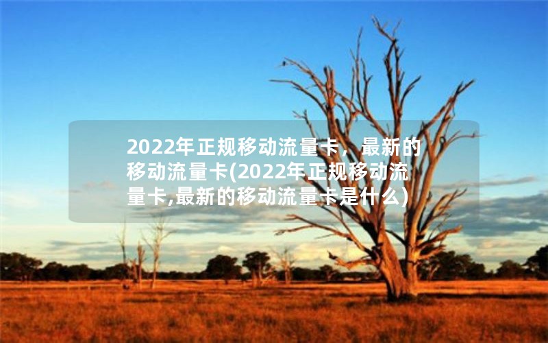 2022年正规移动流量卡，最新的移动流量卡(2022年正规移动流量卡,最新的移动流量卡是什么)