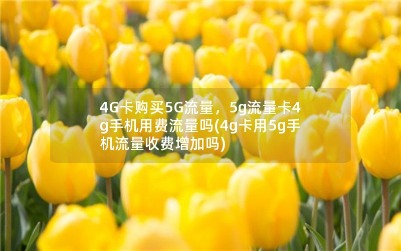 4G卡购买5G流量，5g流量卡4g手机用费流量吗(4g卡用5g手机流量收费增加吗)