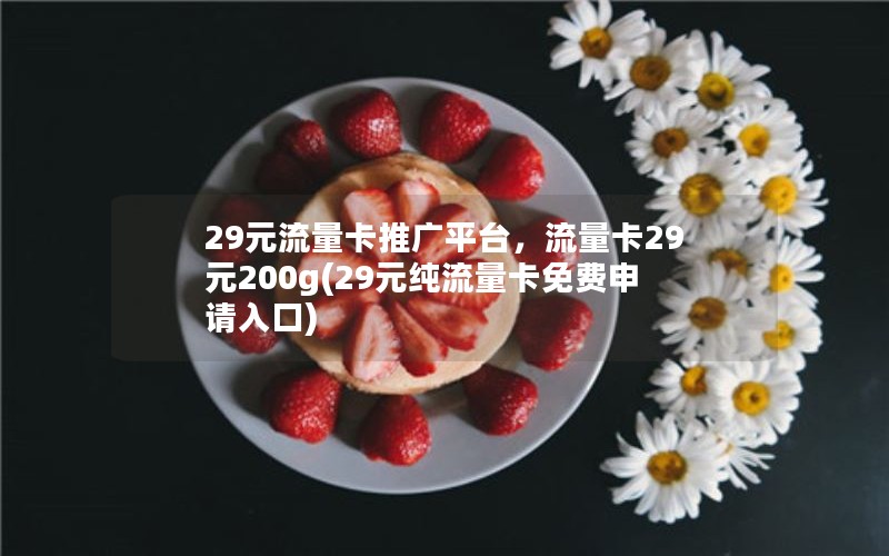 29元流量卡推广平台，流量卡29元200g(29元纯流量卡免费申请入口)