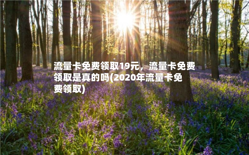 流量卡免费领取19元，流量卡免费领取是真的吗(2020年流量卡免费领取)