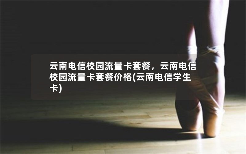 云南电信校园流量卡套餐，云南电信校园流量卡套餐价格(云南电信学生卡)