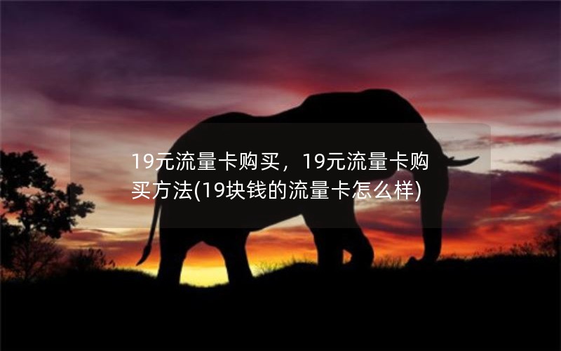 19元流量卡购买，19元流量卡购买方法(19块钱的流量卡怎么样)