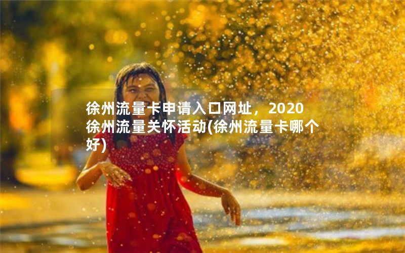 徐州流量卡申请入口网址，2020徐州流量关怀活动(徐州流量卡哪个好)