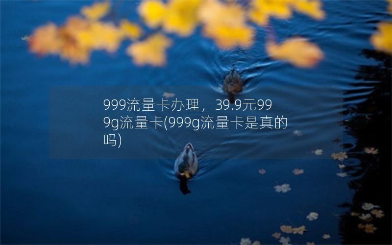 999流量卡办理，39.9元999g流量卡(999g流量卡是真的吗)