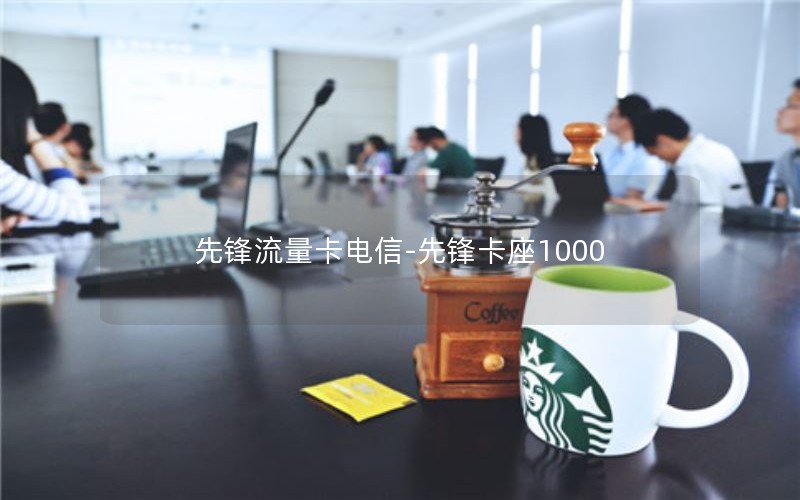 先锋流量卡电信-先锋卡座1000