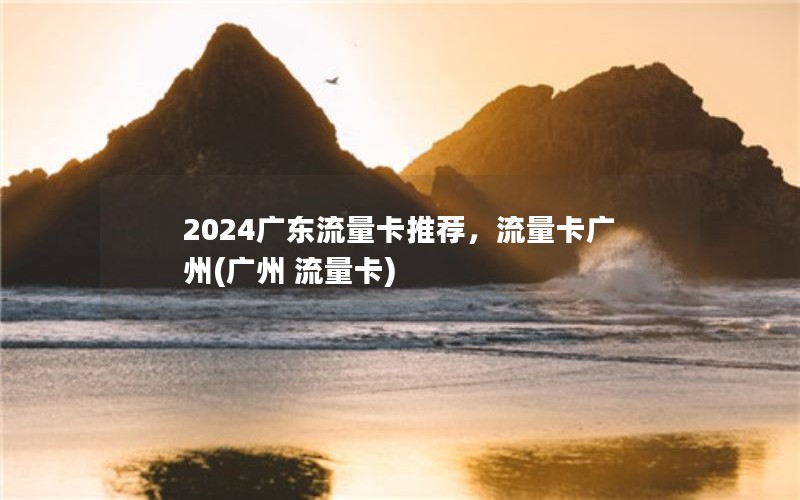 2024广东流量卡推荐，流量卡广州(广州 流量卡)