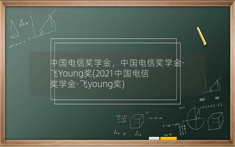 中国电信奖学金，中国电信奖学金·飞Young奖(2021中国电信奖学金·飞young奖)