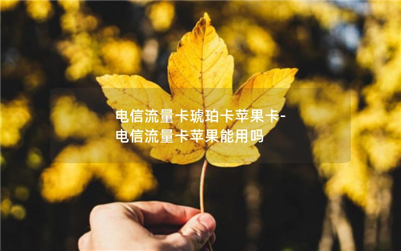 电信流量卡琥珀卡苹果卡-电信流量卡苹果能用吗