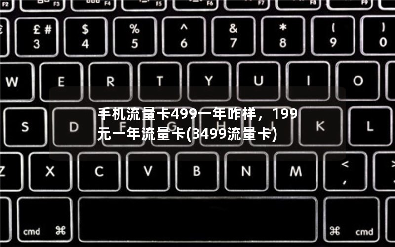 手机流量卡499一年咋样，199元一年流量卡(3499流量卡)