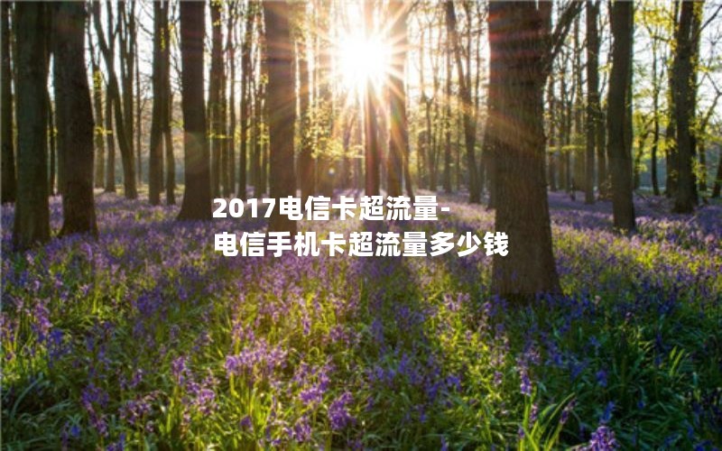 2017电信卡超流量-电信手机卡超流量多少钱