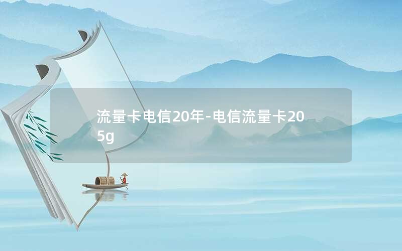 流量卡电信20年-电信流量卡205g