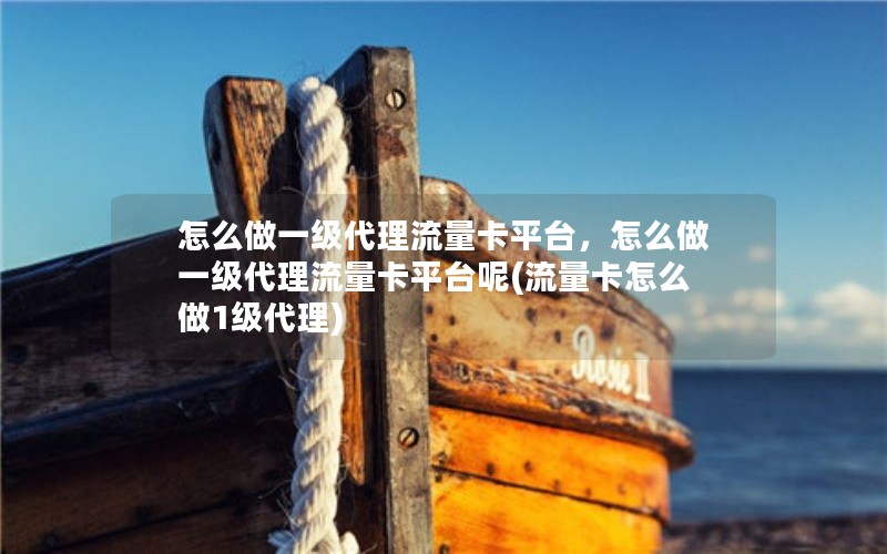 怎么做一级代理流量卡平台，怎么做一级代理流量卡平台呢(流量卡怎么做1级代理)