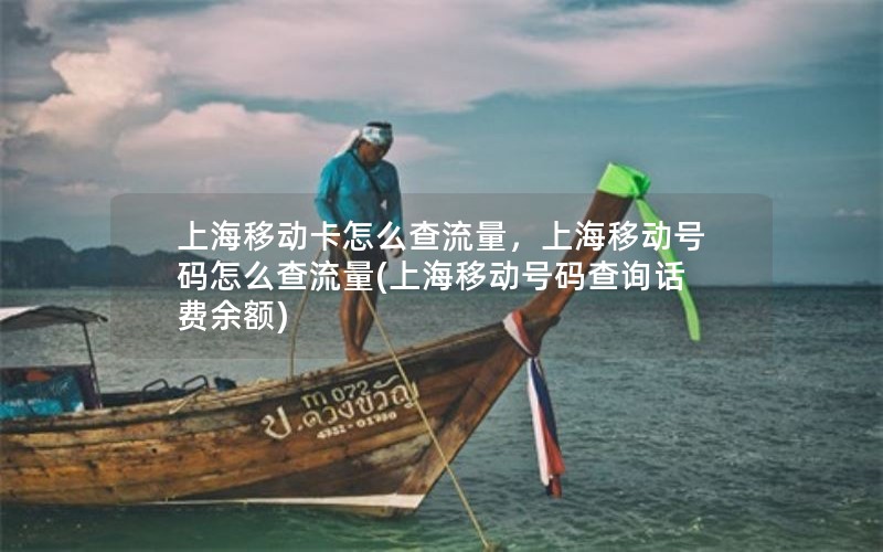 上海移动卡怎么查流量，上海移动号码怎么查流量(上海移动号码查询话费余额)