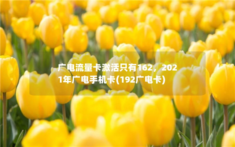 广电流量卡激活只有162，2021年广电手机卡(192广电卡)