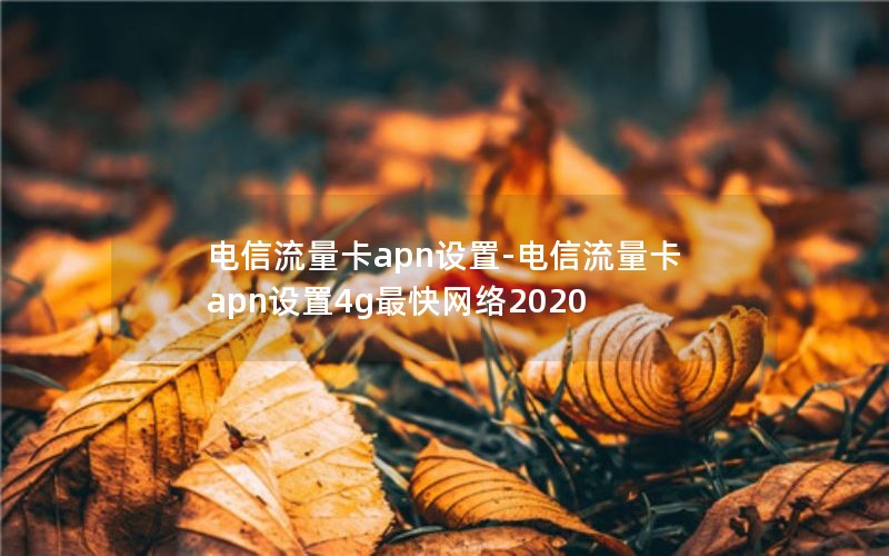 电信流量卡apn设置-电信流量卡apn设置4g最快网络2020