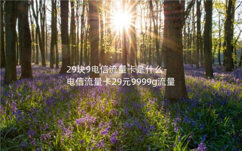 29块9电信流量卡是什么-电信流量卡29元9999g流量