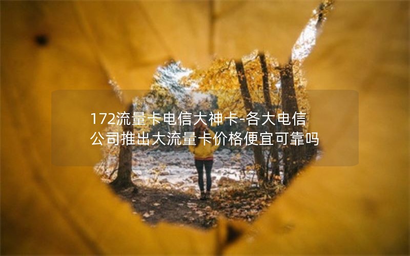 172流量卡电信大神卡-各大电信公司推出大流量卡价格便宜可靠吗