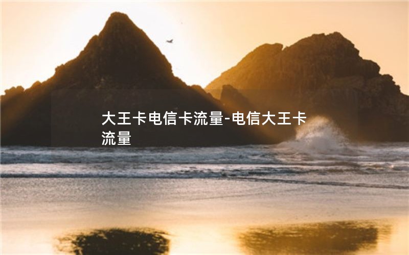 大王卡电信卡流量-电信大王卡 流量