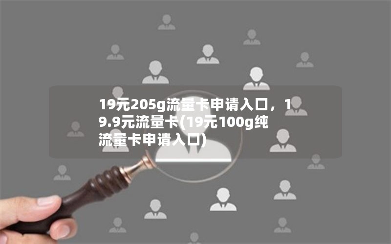 19元205g流量卡申请入口，19.9元流量卡(19元100g纯流量卡申请入口)