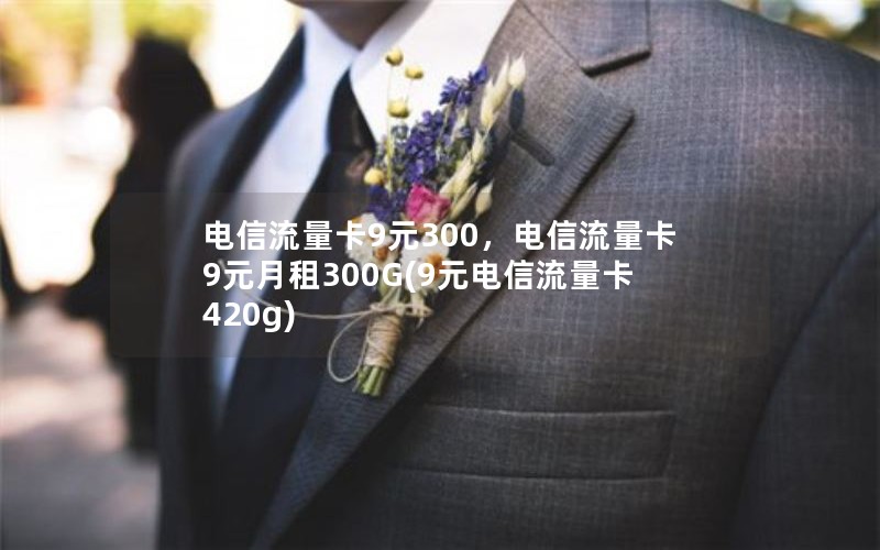 电信流量卡9元300，电信流量卡9元月租300G(9元电信流量卡420g)