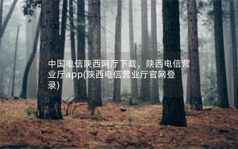 中国电信陕西网厅下载，陕西电信营业厅app(陕西电信营业厅官网登录)