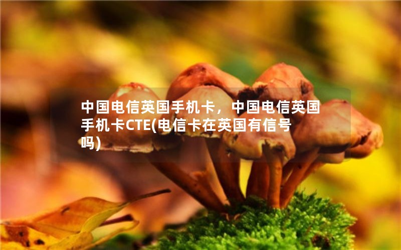 中国电信英国手机卡，中国电信英国手机卡CTE(电信卡在英国有信号吗)