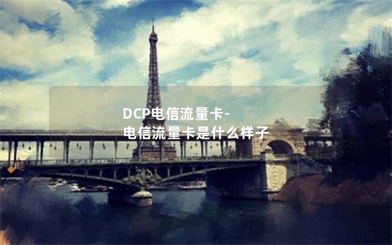 DCP电信流量卡-电信流量卡是什么样子