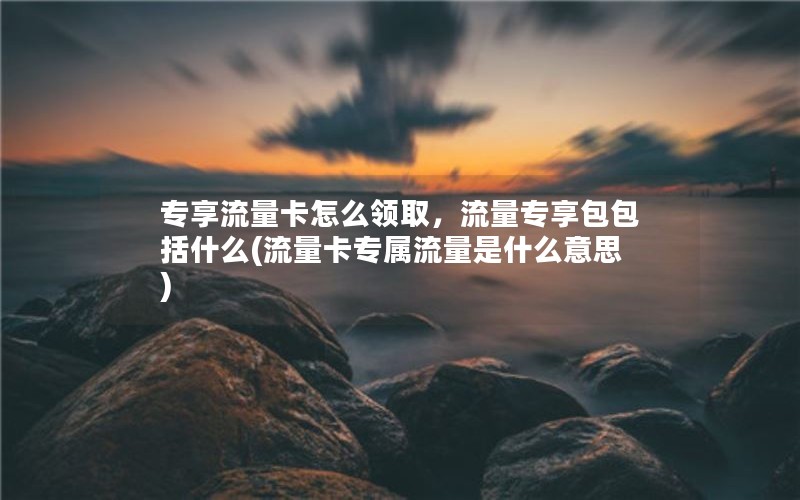 专享流量卡怎么领取，流量专享包包括什么(流量卡专属流量是什么意思)