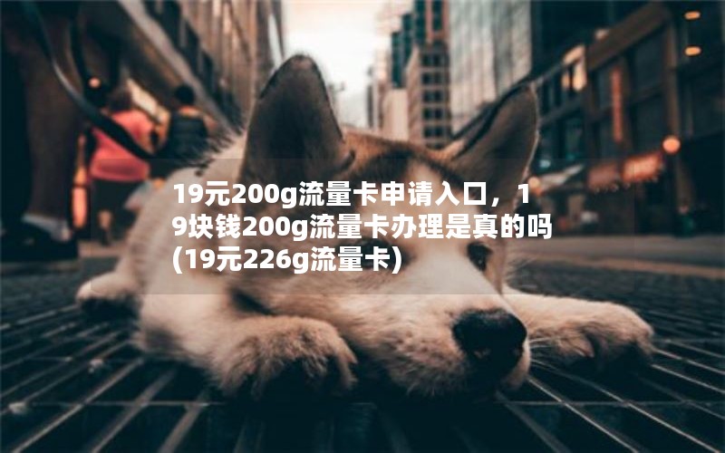 19元200g流量卡申请入口，19块钱200g流量卡办理是真的吗(19元226g流量卡)